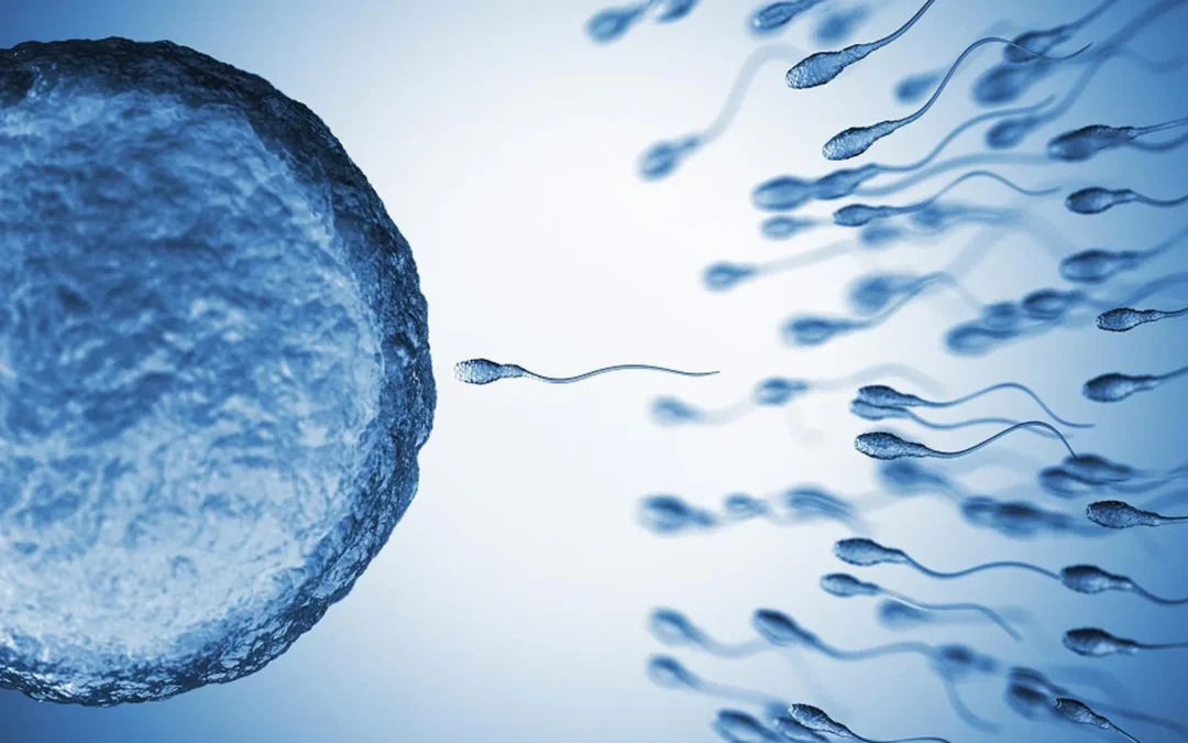 Covid-19 May Affect Sperm Count Among Patients